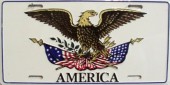 Novelty_plate_115